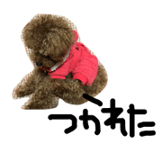 welovedog