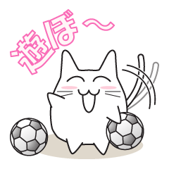 Cute cat football