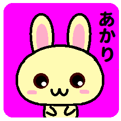 Akari is a rabbit