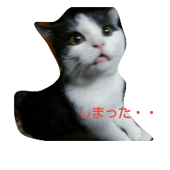saburo1