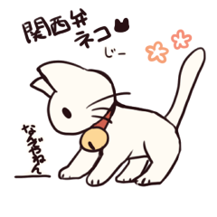 Kansaidialect Cat