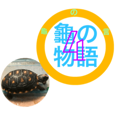 Turtle Story 4