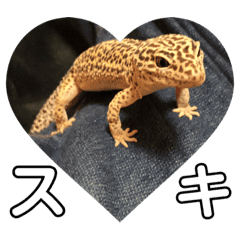 ヒョウモントカゲモドキレオパの日常会話 Line スタンプ Line Store ヒョウモントカゲモドキレオパの日常会話 Line スタンプ Line Store