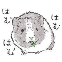 Adorable Guinea Pig Japan Calligraphy Line Stickers Line Store