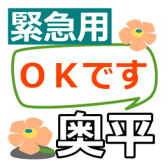 Emergency use[okudaira]name Sticker