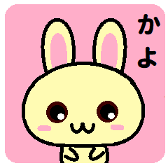 Kayo is a rabbit