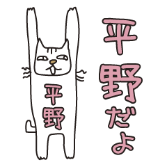 Only for Mr. Hirano Banzai Cat