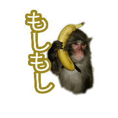リアルな日本猿スタンプ　戦豆の猿まわし4