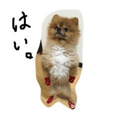 tamokun