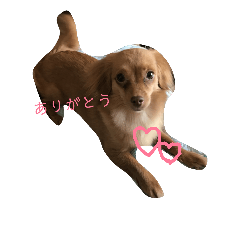 daily moka 2