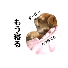 垂れ耳チワワのもなだよ2 Line スタンプ Line Store 垂れ耳チワワのもなだよ2 Line スタンプ Line Store