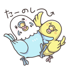 Daily Life of a Budgerigar