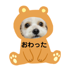 kumamotomarine