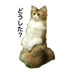 Munchikan's day also