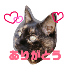 reichanpart2