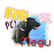 Charm Megrin