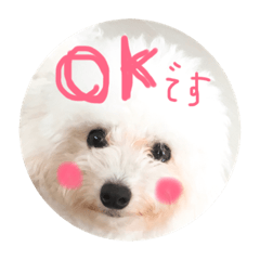 Kai's life 2