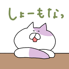 Everyday buchi cat (KANSAI)
