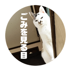 cat 2018-4