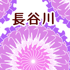長谷川 と お花