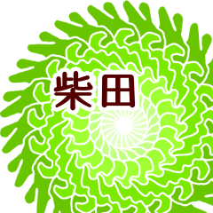 Shibata and Flower