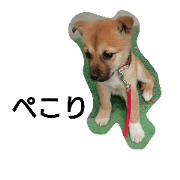 Beby dogs stanp