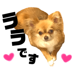 Lala Saito