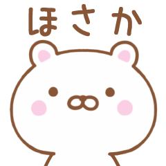Simple Message Bear Used by HOSAKA