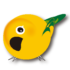 Orange Parakeet Freedom