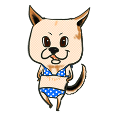 male dog in polka dots bikini