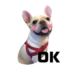 哭哭屁孩的日常