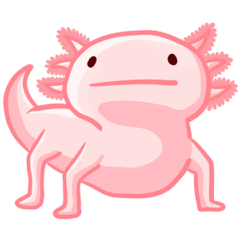 A Little Axolotl