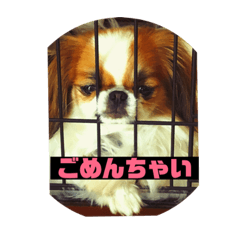 Ren-chan