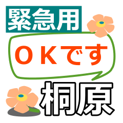 Emergency use[kirihara]name Sticker