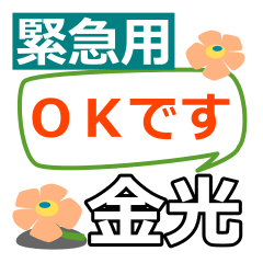 Emergency use[kanemitsu]name Sticker