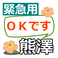 Emergency use[kumasawa]name Sticker