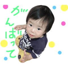 aobanomainichi