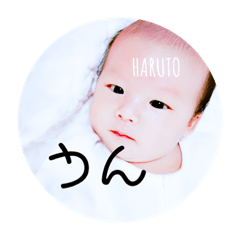 KameyamaHaruto2