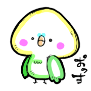 parakeet parakeets