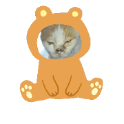 Cat Mann