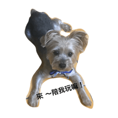 小約約的心裡話