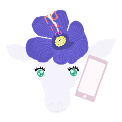 white girraffe