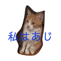 I am AJI
