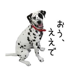 Lovely dog Kuroou & his friend's sticker