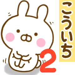 Rabbit Usahina kouichi 2