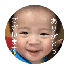 shoubukun