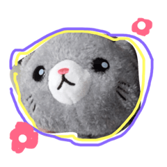 our pet meow
