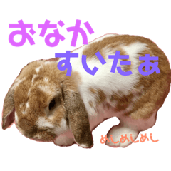 mimichannostamp