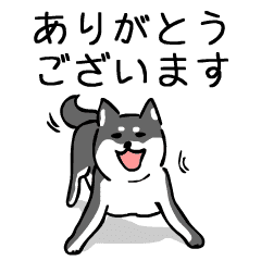 動く 大人可愛い 柴犬のゆる敬語 黒柴 Line スタンプ Line Store