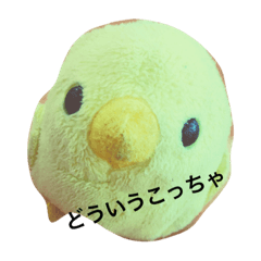 piyopiyo-
